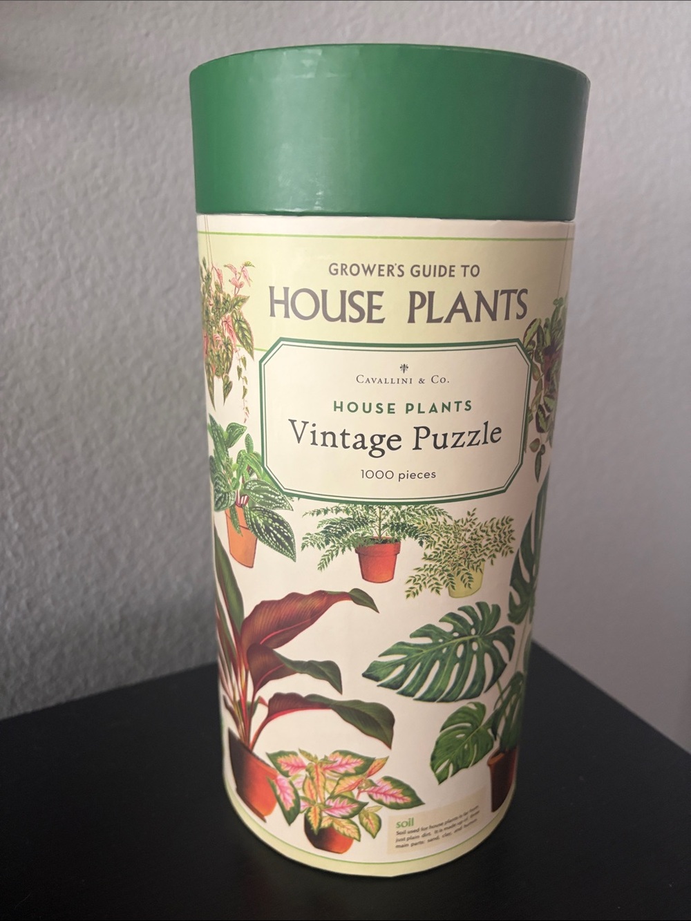 Cavallini & Co. House Plants 1,000-Piece Vintage Puzzle